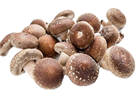 Shiitake